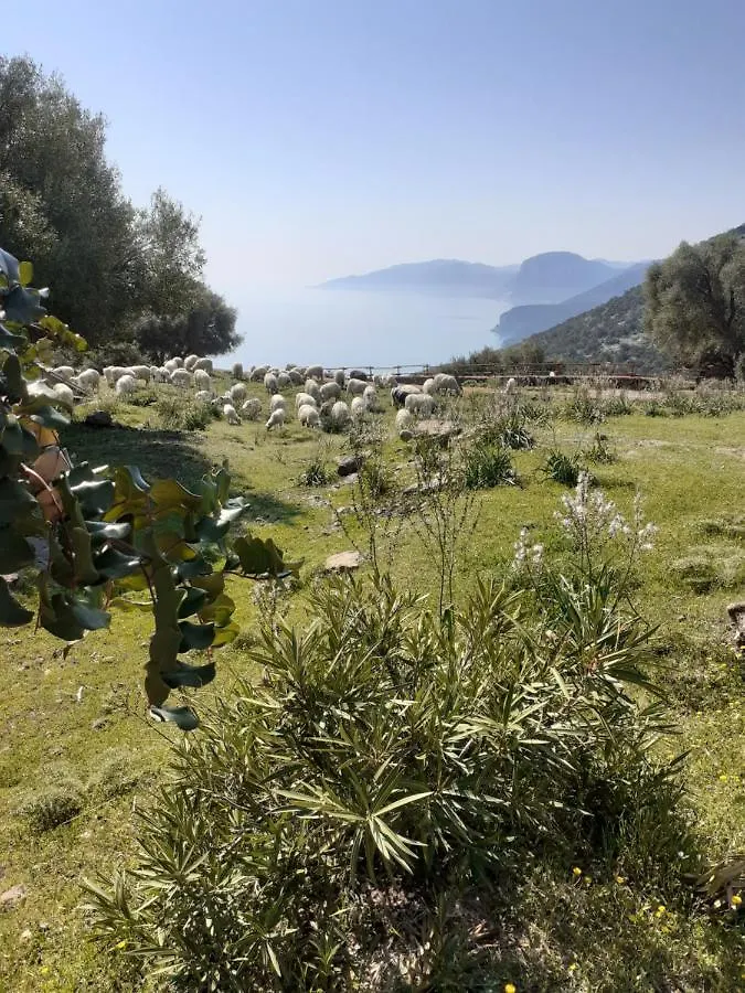 Agriturismo Codula Fuili Cala Gonone 0*,