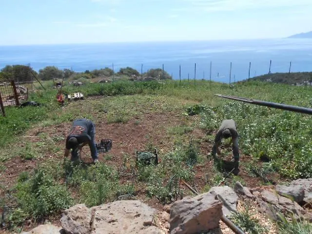 Agriturismo Codula Fuili Cala Gonone Κατάλυμα σε φάρμα