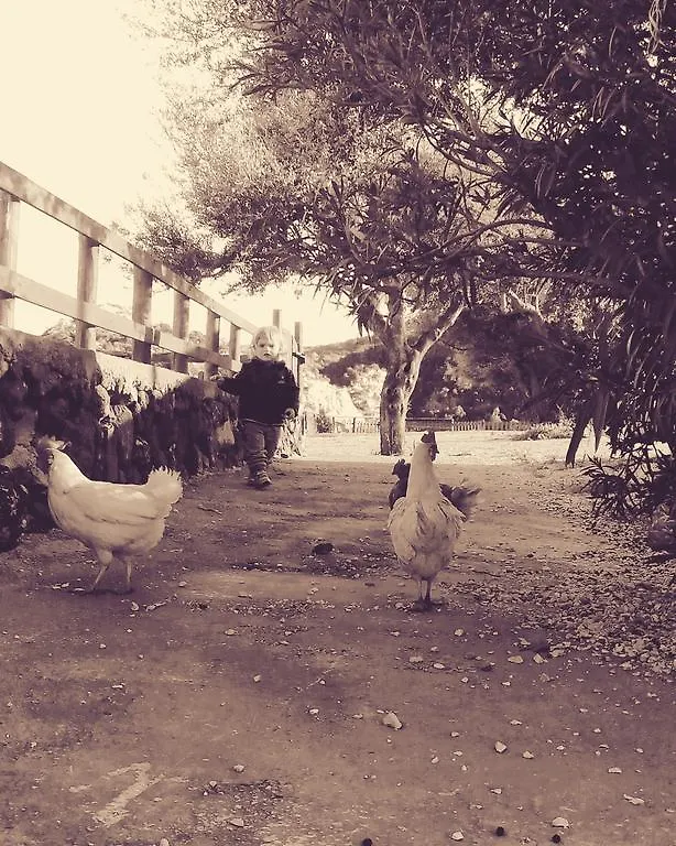 Agriturismo Codula Fuili Cala Gonone Ιταλία