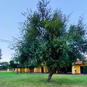 Nuraghe Ruiu Eco-camping Village Casa vacanze