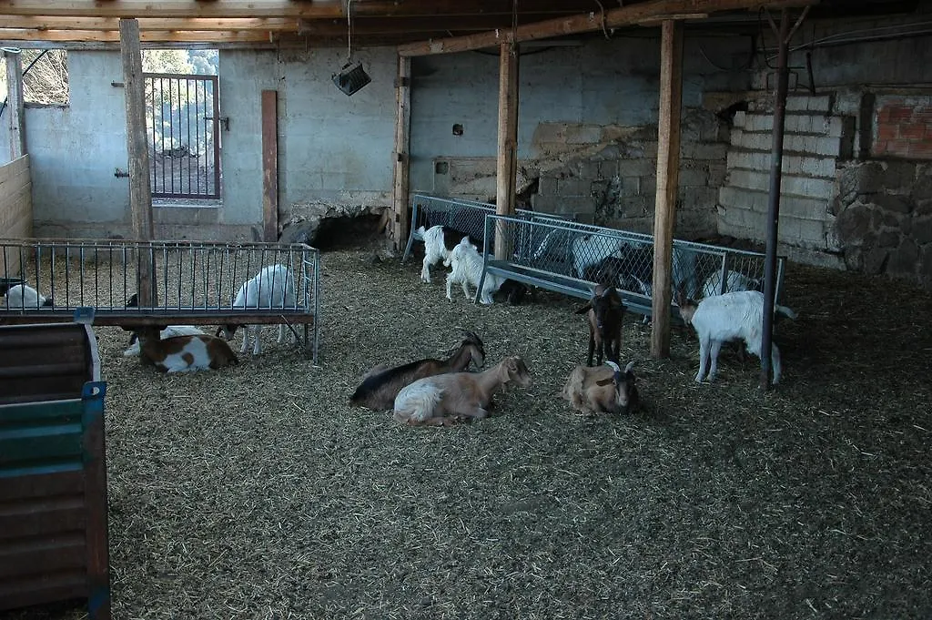 Agriturismo Codula Fuili Cala Gonone Italy