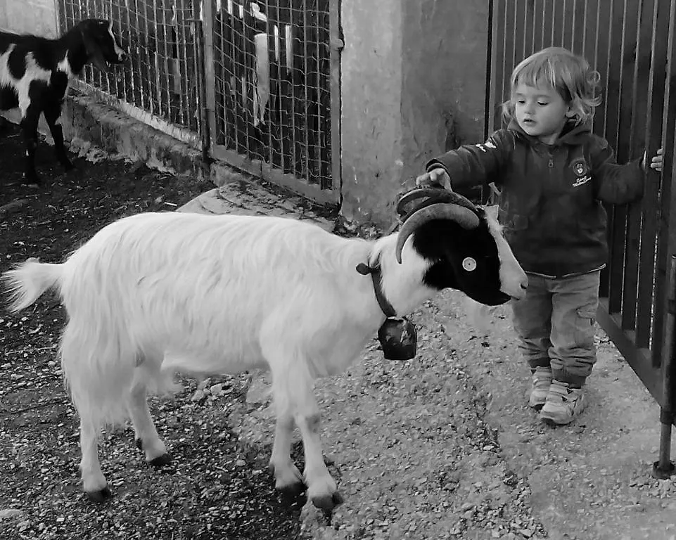 Agriturismo Codula Fuili Cala Gonone Farm stay